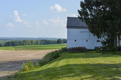 Knickerbocker Farm Stand