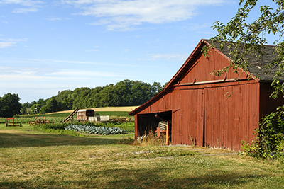 Willard Farm Stand