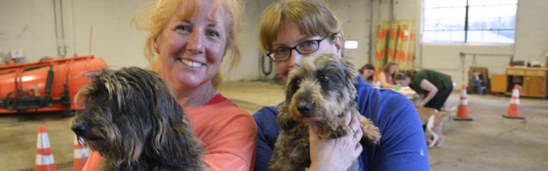 Rabies Clinic patients