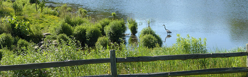 Kings Bend Park