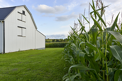 Knickerbocker Farm