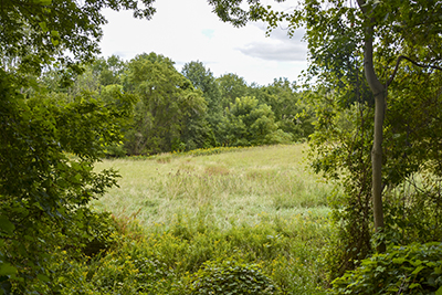 lehman farm lands