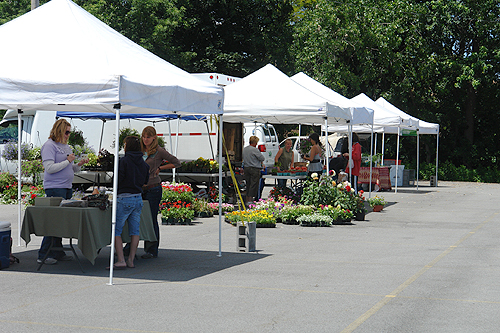 Pittsford Farmers' Market