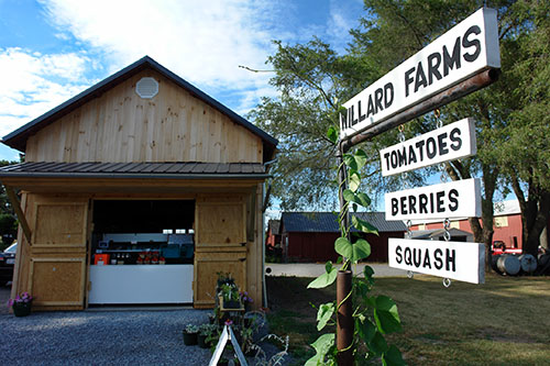 Willard Farm Stand