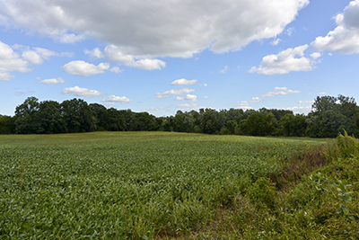 lehman farm lands