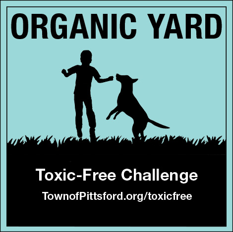 Toxic Free Challenge
