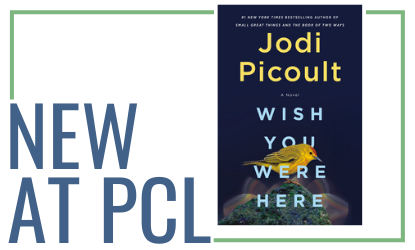 Wish You Were Here by Jodi Picoult