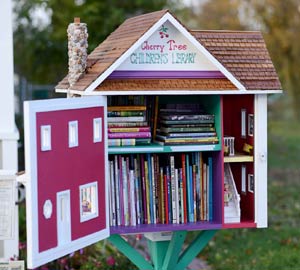 Little Free Library Smaple 1