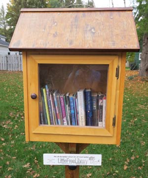 Little Free Library Sample 2