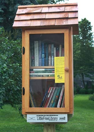 Little Free Library Sample 3
