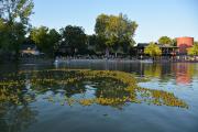 Orient Express Concert and Duck Drop