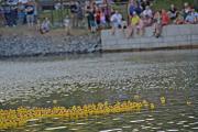 Orient Express Concert and Duck Drop