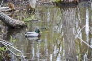 Erie Canal Nature Preserve Ribbon Cutting