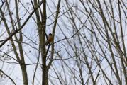 Erie Canal Nature Preserve Ribbon Cutting