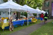 Food Truck and Music Fest