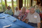 Senior's Summer Picnic