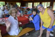 Senior's Summer Picnic