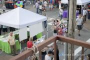 Pittsford Food Truck and Music Fest