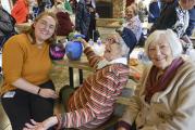 Senior's Fall Halloween Picnic