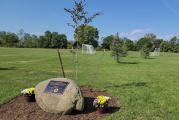 Bill Beach Fields Dedication