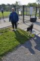 Dog Park