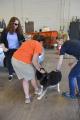 Drive through Rabies Clinic
