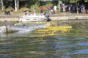 Pittsford Food Truck and Music Fest 2024