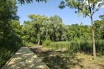 Erie Canal Nature Preserve