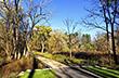 Erie Canal Nature