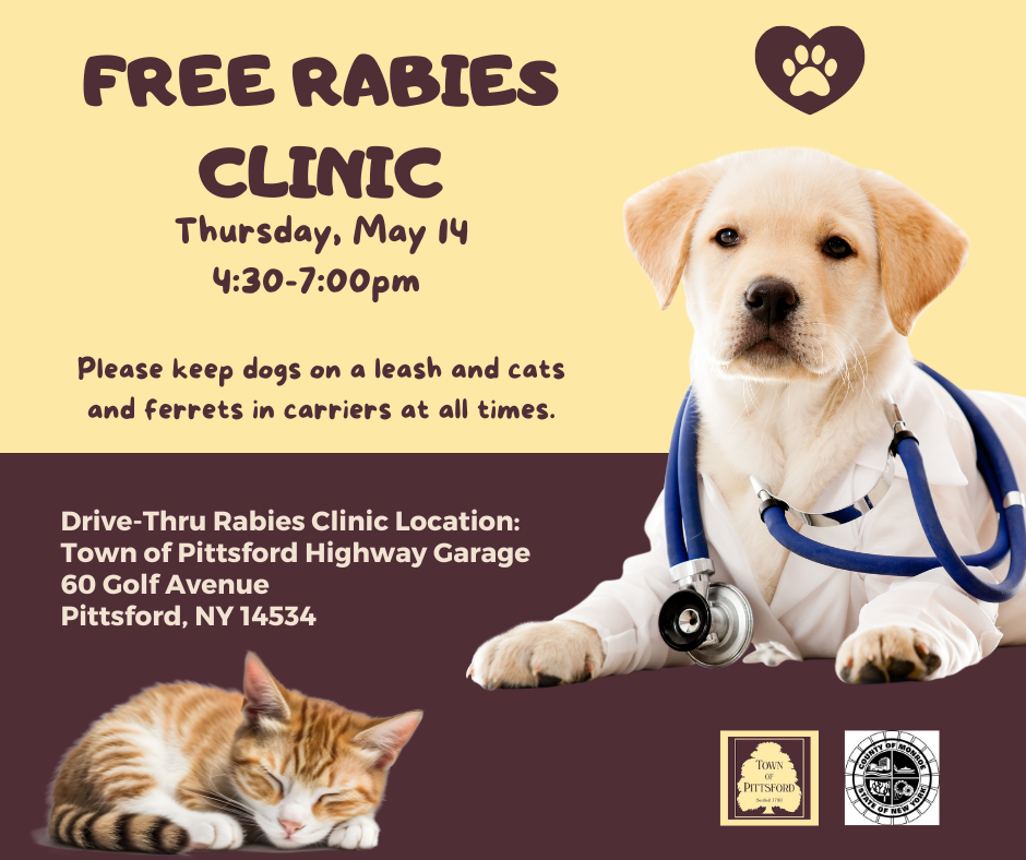 Free Rabies Clinic Poster