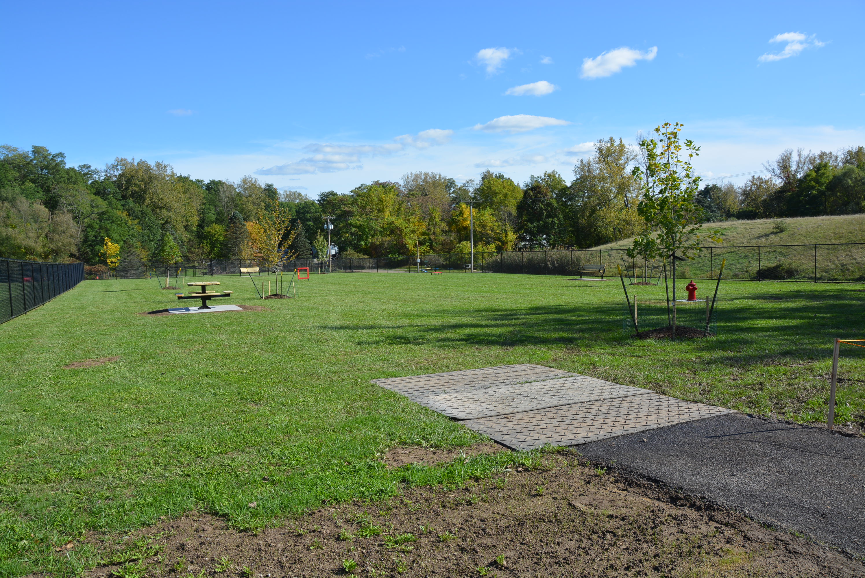 Pittsford Dog Park