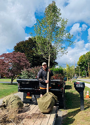 East Ave Tree Planting