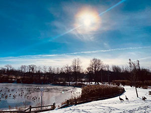Solar panels at the park