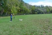 Dog Park
