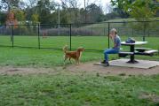 Dog Park