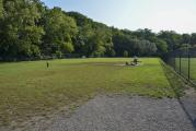 Dog Park