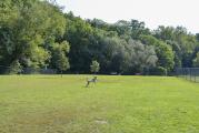 Dog Park
